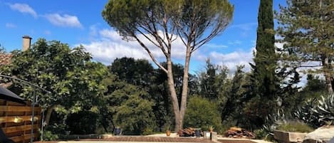 A swimming pool with a wooden deck, surrounded by trees and a clear sky.