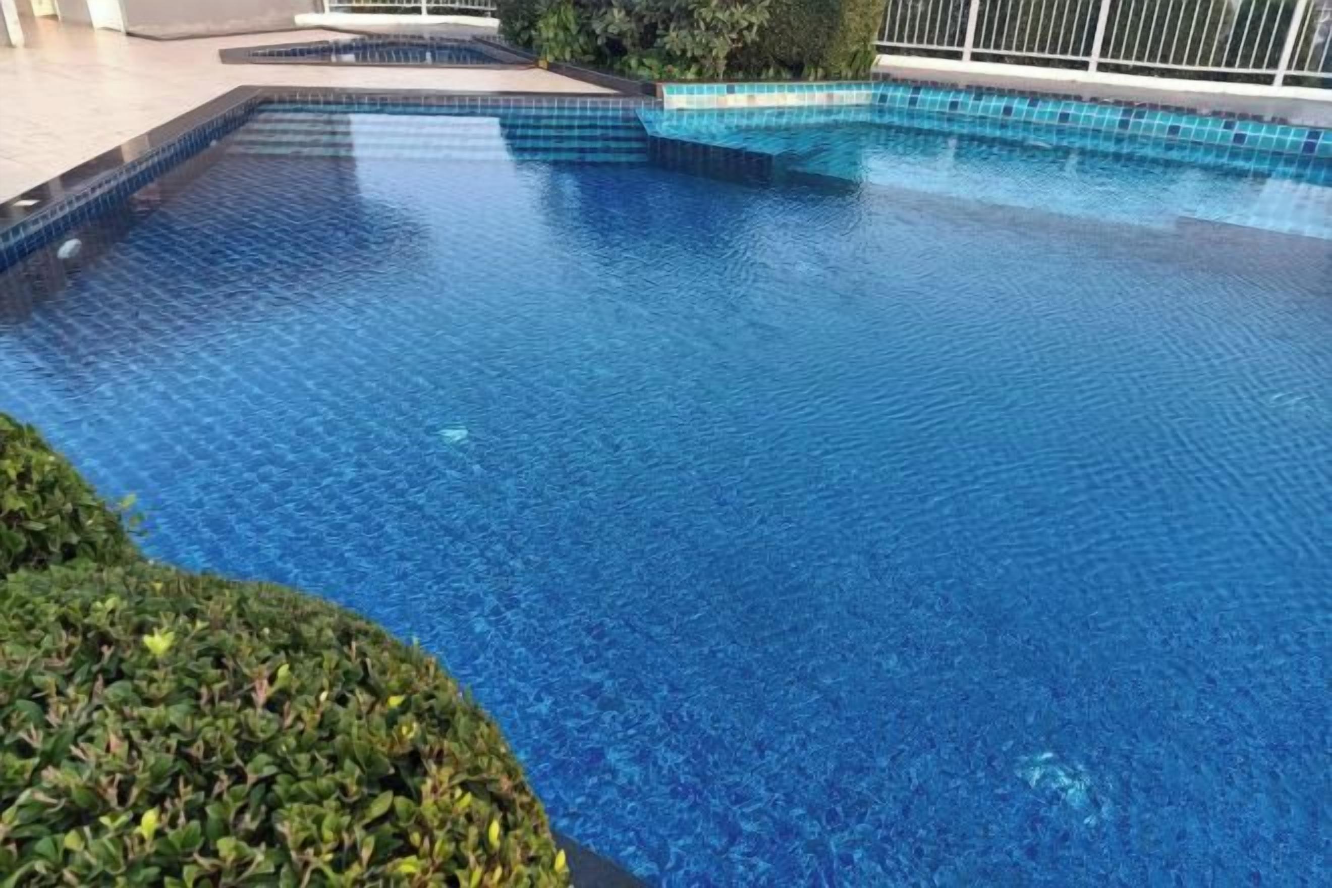 A clear blue swimming pool with a tiled edge, surrounded by a low hedge and a metal fence.