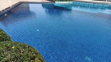 A clear blue swimming pool with a tiled edge, surrounded by a low hedge and a metal fence.