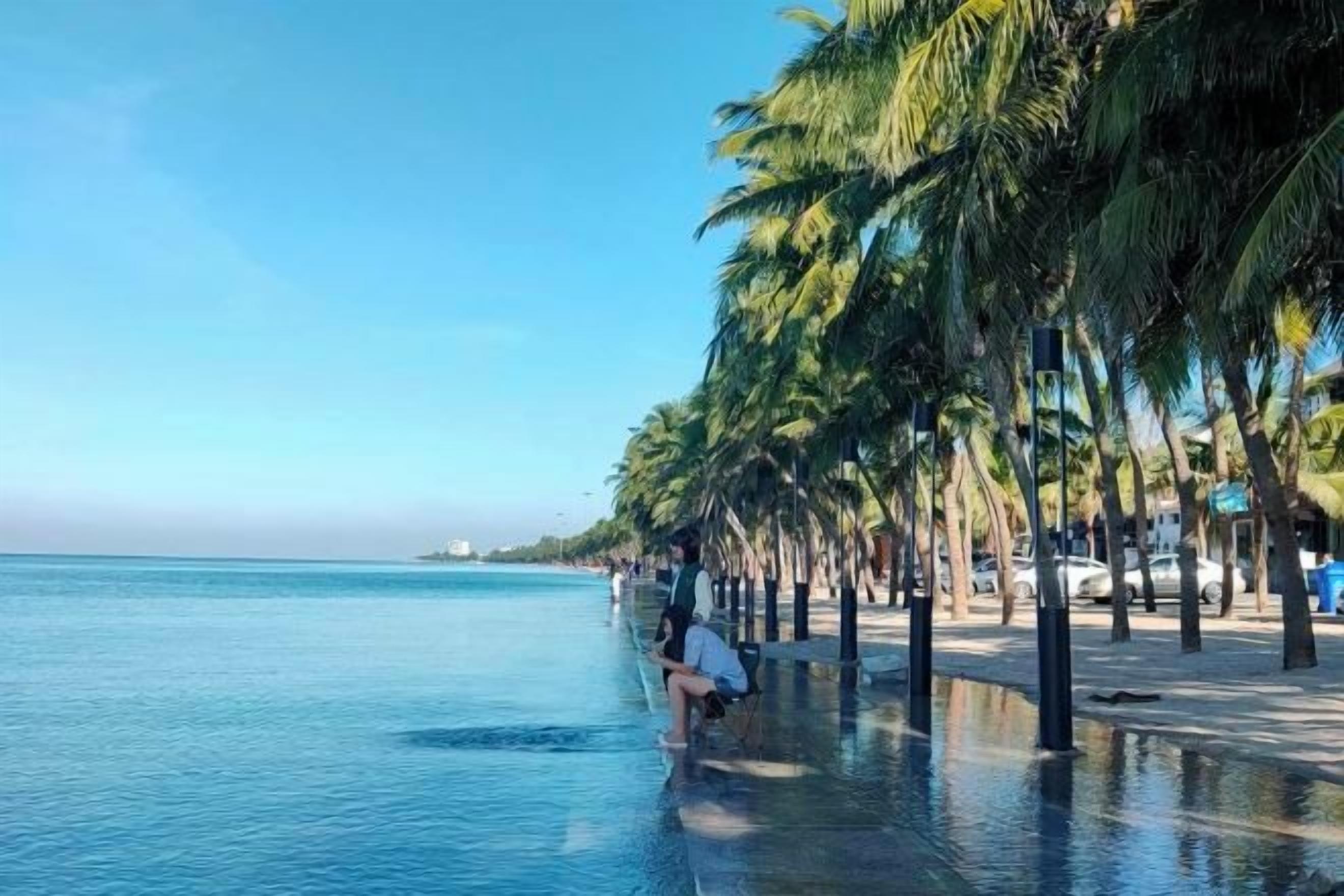 A beachfront promenade with palm trees and a clear blue sky.