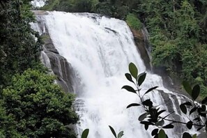 View from property - Riverside Homestay by Nature (Idukki)