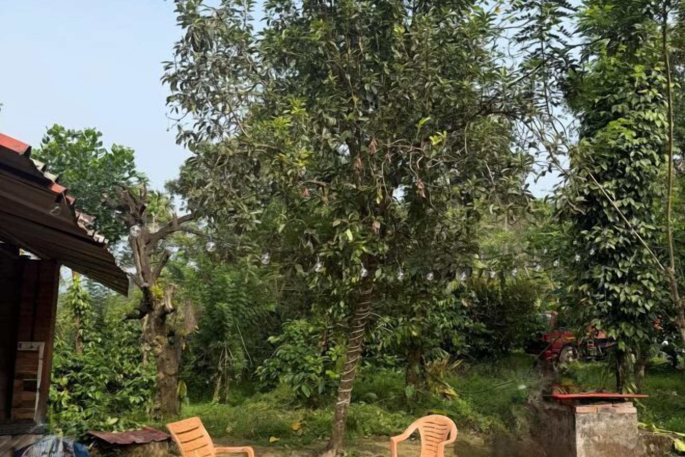 บริเวณภายนอก