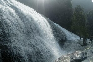 Unclassified image, 4 of 24, button - Riverside Homestay by Nature (Idukki)