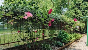 A garden with a metal fence, flowering plants, and a gravel path. - Casa di Serena (Venice)
