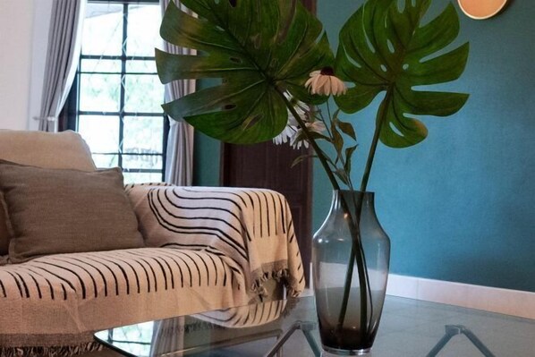 Une pièce avec un canapé, une grande plante verte dans un vase et une fenêtre avec des rideaux.