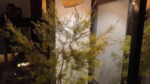 A modern indoor space with a central artificial tree, a hanging light fixture, and a stone bench. - Chakk 109 Mussoorie Foothills, Dehradun (Dehradun)