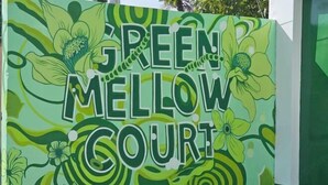 A wall with the text "GREEN MELLOW COURT" surrounded by green and yellow floral designs. - Green Mellow Court Capitol Avenue (Dipolog)