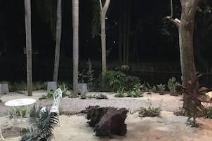 An outdoor area with a table and chairs, surrounded by trees and plants.