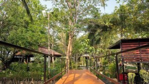 A wooden bridge connecting two wooden structures over a body of water, surrounded by dense greenery. - Keith Ratchaburi (Ban Pong)