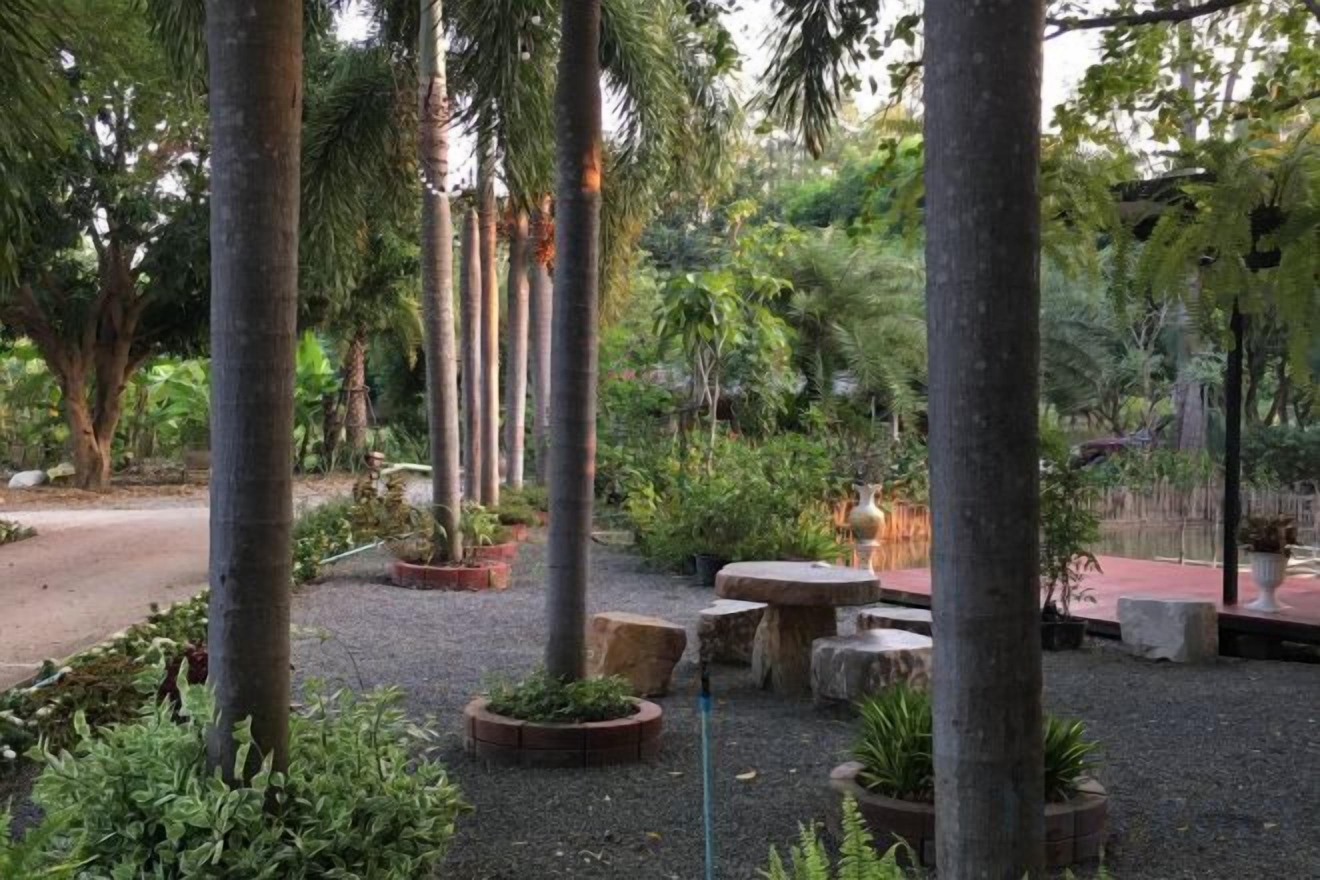 Un jardín con árboles altos, macetas de piedra y un camino de grava.