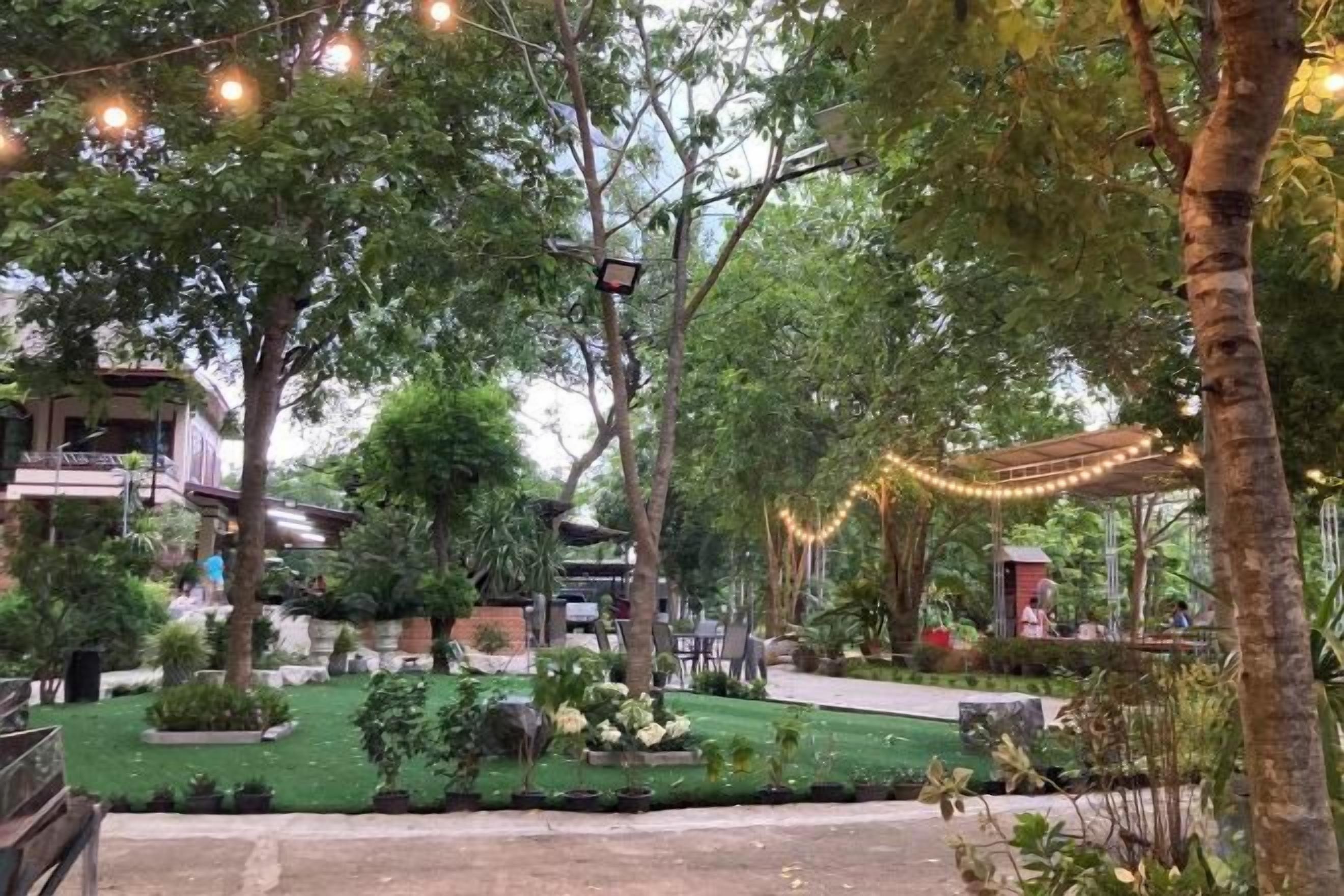 Un jardín bien cuidado con senderos, árboles y luces colgantes.