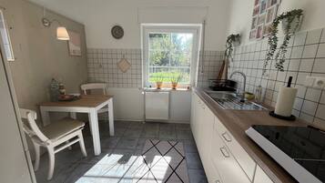 A kitchen with a dining table, chairs, a window, a radiator, and a sink.
