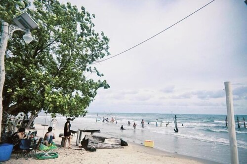 The Mangrove Beach Resort