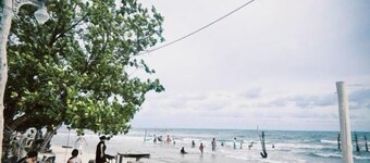 The Mangrove Beach Resort