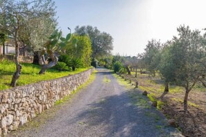 Un sendero de grava flanqueado por muros de piedra y olivos, que atraviesa un paisaje rural.