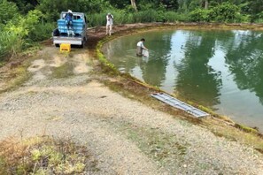 A gravel area with a water body, a blue vehicle, and a person standing by the water. - Bullfighting and Nishikigoi Traditional Culture House (Nagaoka)