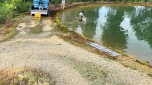 Gambar tidak terklasifikasi, 4 dari 13, tombol