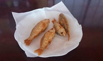 Comida y bebida