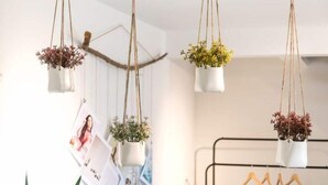 A room with hanging planters, a metal rack with clothes, and a wall-mounted photo collage. - Pinnacle Duplex@5m Walk to Paradigm Mall+WIFI (Petaling Jaya)
