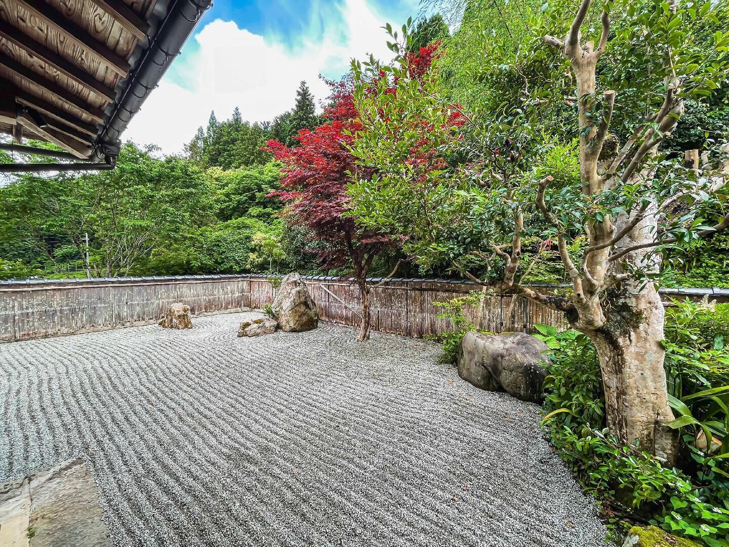 A traditional Japanese garden with a gravel path, a wooden fence, and various trees.