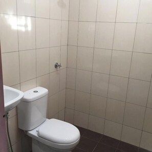 Shower, towels, soap, toilet paper