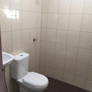 Shower, towels, soap, toilet paper