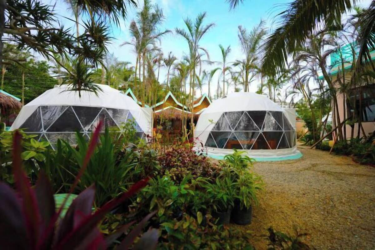 Two dome-shaped structures with transparent walls, surrounded by lush greenery and palm trees.
