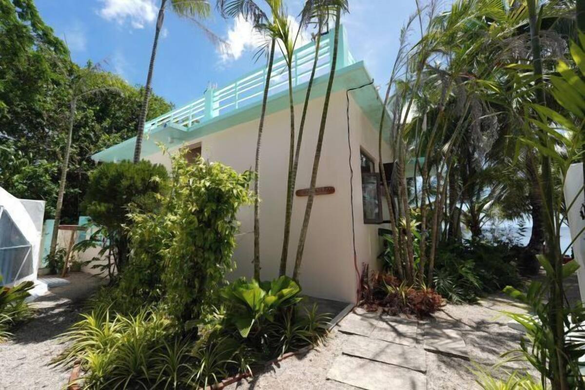 A building with a white exterior and a green roof, surrounded by lush tropical vegetation.
