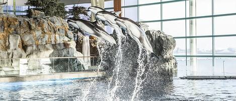 Delfines saltando fuera del agua en una piscina interior con un fondo rocoso y ventanas grandes.