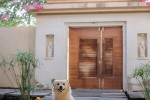 Garden - Raaga Samudra Villa (Bali)