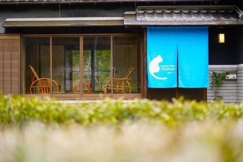 chambre d'hôte chaton