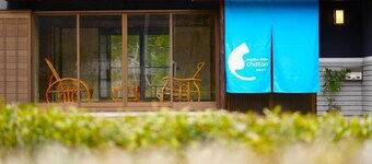 chambre d'hôte chaton