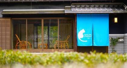 chambre d'hôte chaton