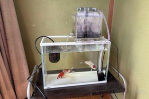 Un acuario de agua cristalina con dos peceras sobre un soporte.