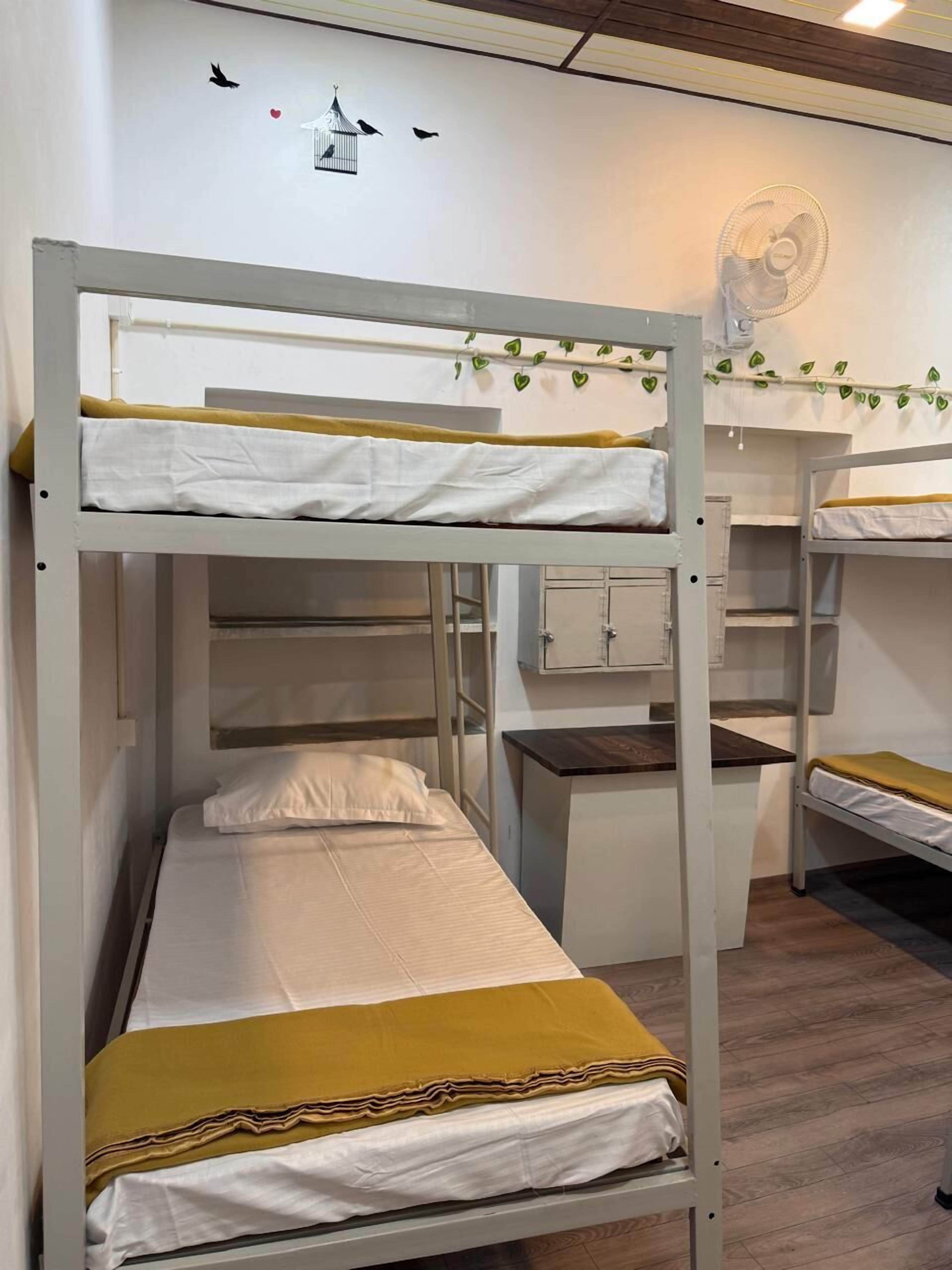 Shared Dormitory | Free WiFi