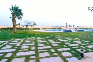 Ein angelegter Garten mit einer Palme, einem Pool und einem gemusterten Rasen.