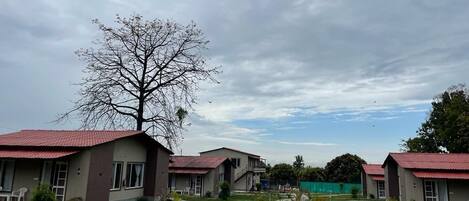 Vista frontal de la propiedad