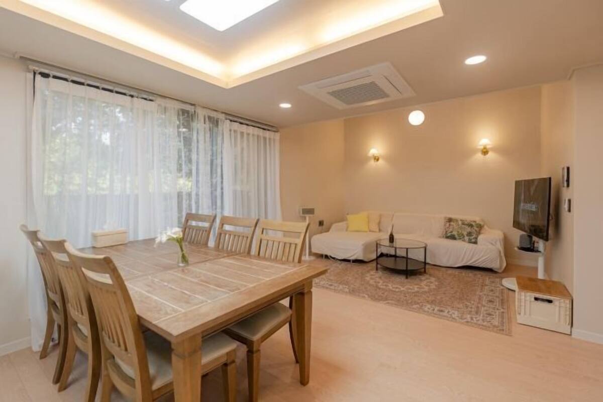 A dining area with a table and chairs, a sofa, a TV, and a ceiling light.