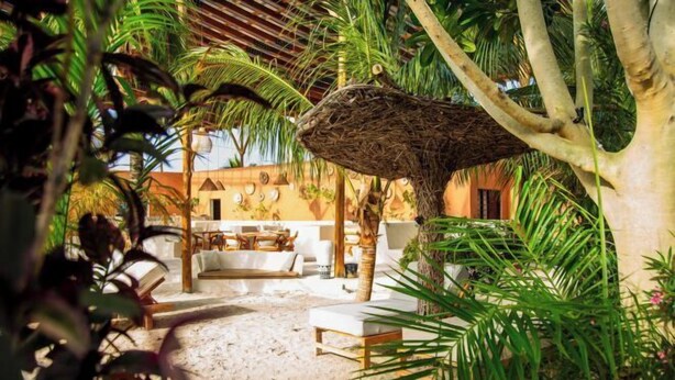 A tropical-themed outdoor lounge area with a thatched roof, palm trees, and a white outdoor seating area. - Seconda Stella Romantic Hideaway (Kusini)