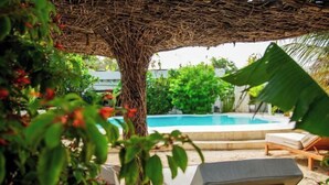 A pool area with lounge chairs, a thatched umbrella, and lush greenery. - Seconda Stella Romantic Hideaway (Kusini)