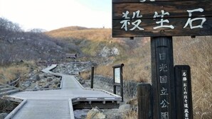 Property grounds - Cottage morikaze terrace (Nasu)