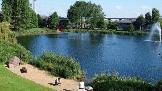 Un lago tranquilo con una fuente, rodeado de exuberante vegetación y algunos edificios al fondo.