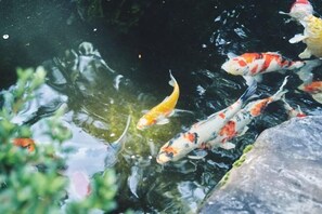 Miscellaneous - Wabisabi Kashiwaya (Oyabe)