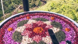 A circular flower arrangement with a central orange flower, surrounded by various colored petals. - Villa Cella Bella ( Bali instaworthy villa ) (Bali)