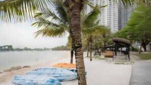 A beach with palm trees, a sandy shore, and a water body in the background. - Vinhomes Smart City Apartment Ha Noi - BK Homes (Hanoi)