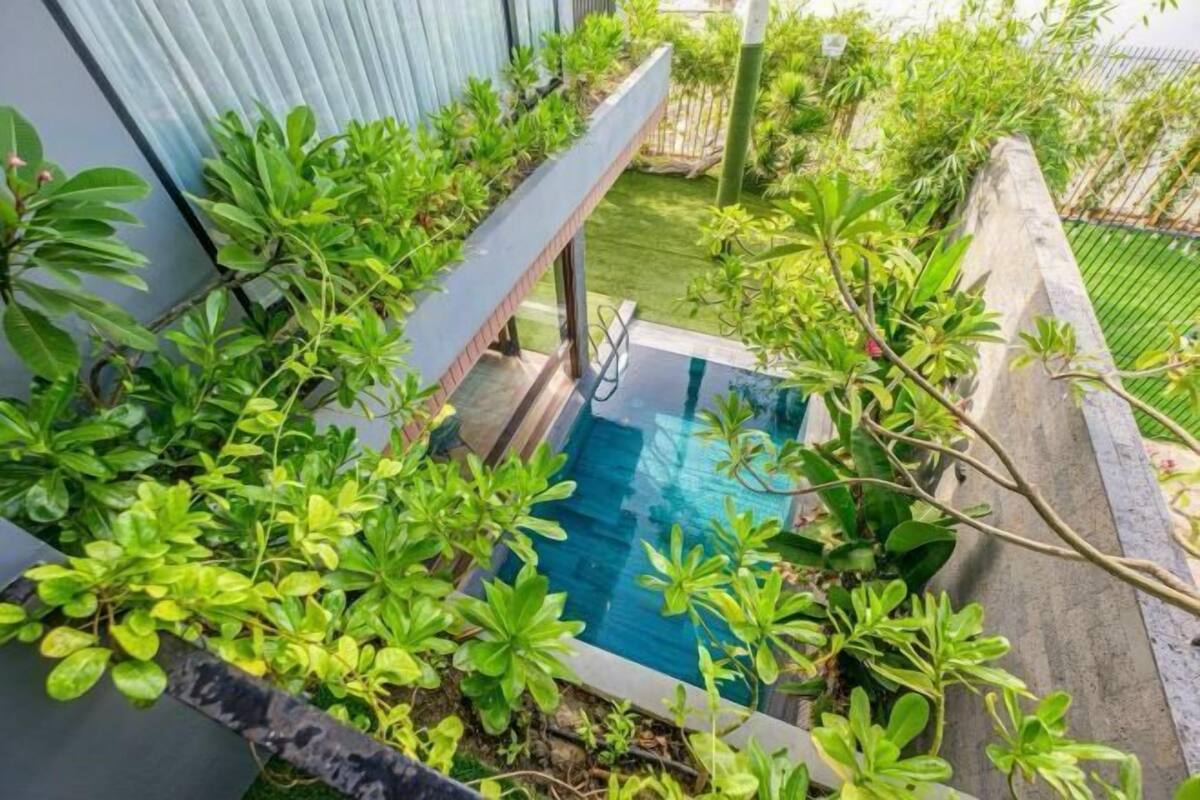A swimming pool surrounded by lush greenery and a stone wall.
