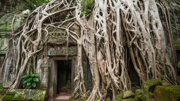 Chi tiết ngoại thất