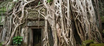 Angkor Golden Guest House