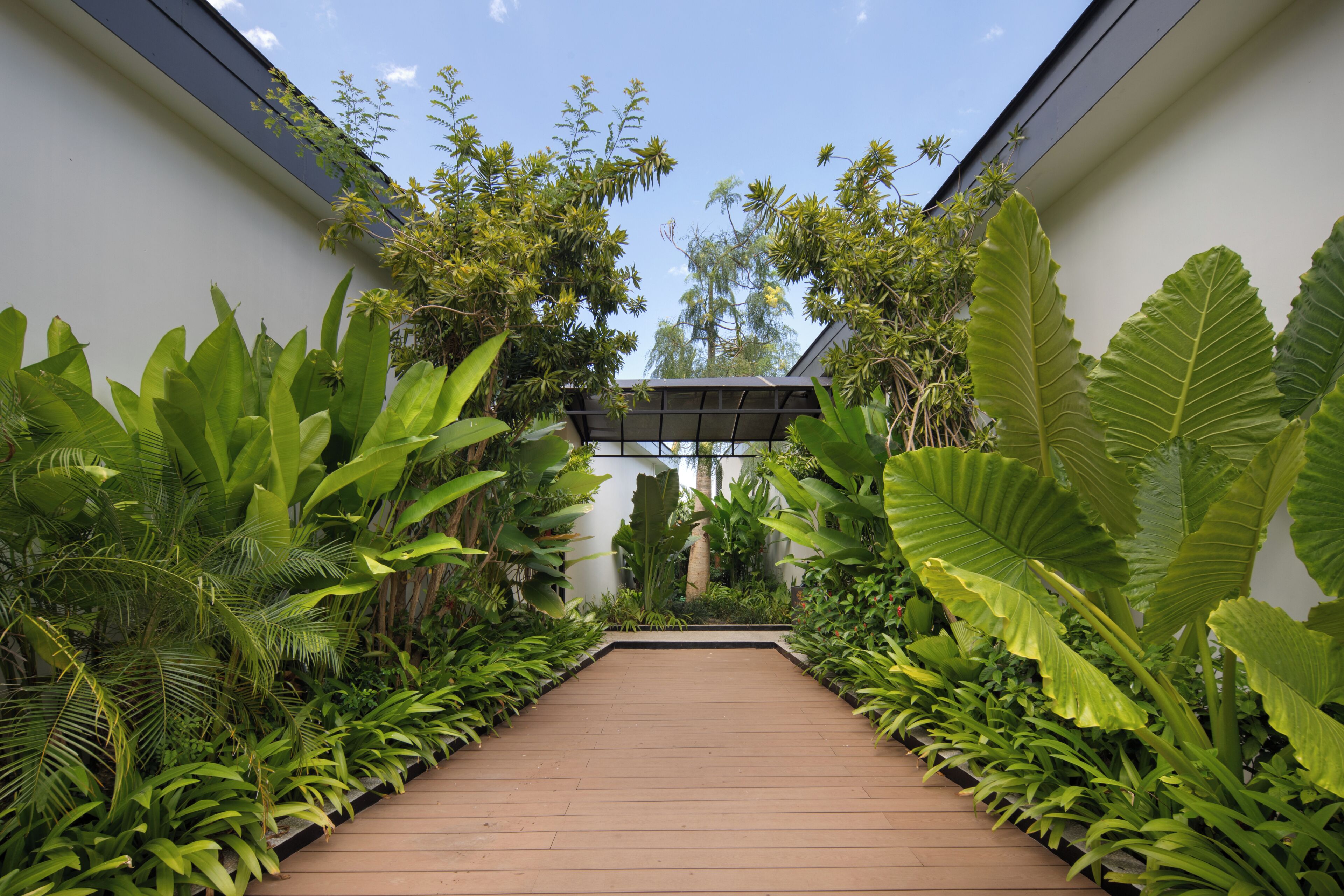 Jardín