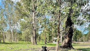 Property grounds - Seehorse Meadows, a Farm Stay in Churchable! (Churchable)
